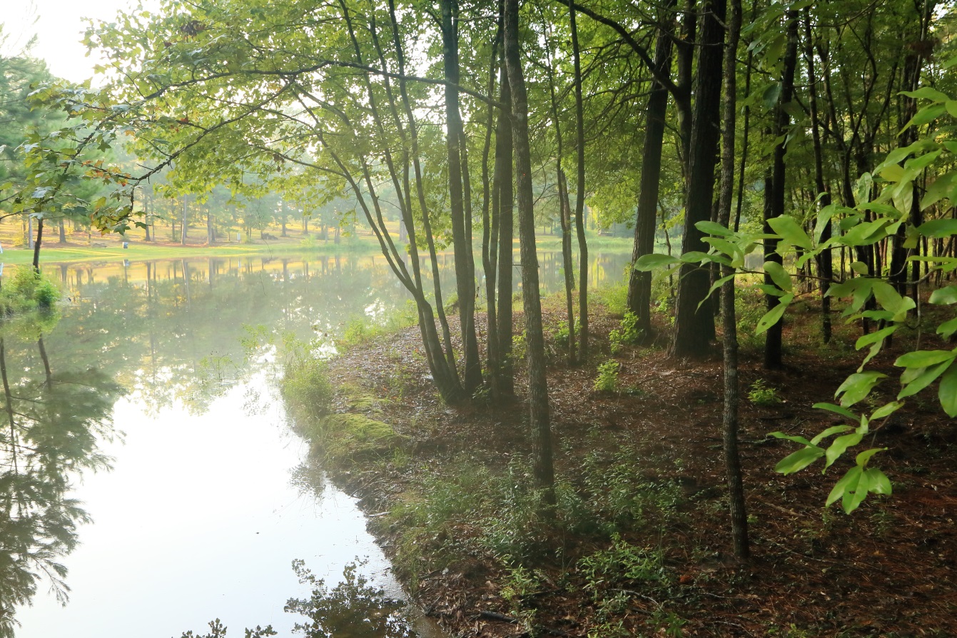 Lake from back side to front