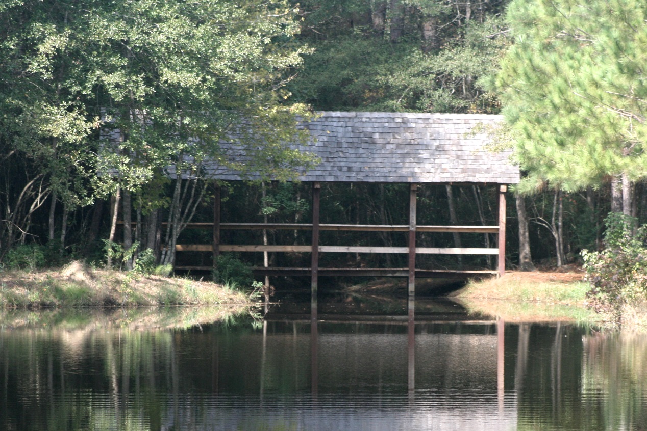 Covered Bridge from lake.