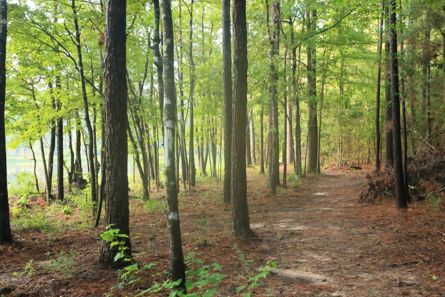 Trail behind lake to covered bridge.